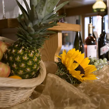 Superior Persal Hotel Finkenberg