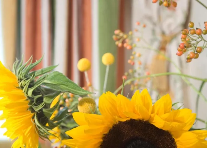 Superior Persal Szálloda