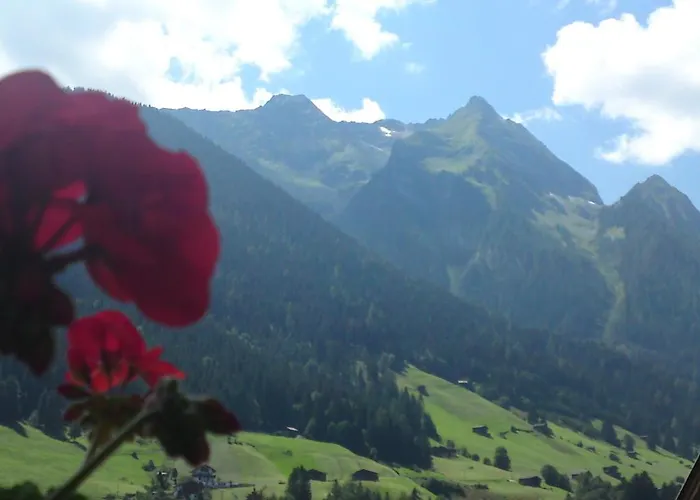 سوبيريور بيرسال فندق فينكنبرغ